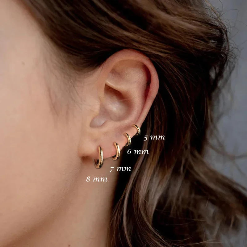 Golden Elegance Hoop Earrings