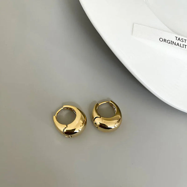 Stainless-Steel-Smooth-Metal-Chunky-Hoop-Earrings-For-Women-Girls-Fashion-Round-Circle-Hoops-Statement-Earrings.jpg